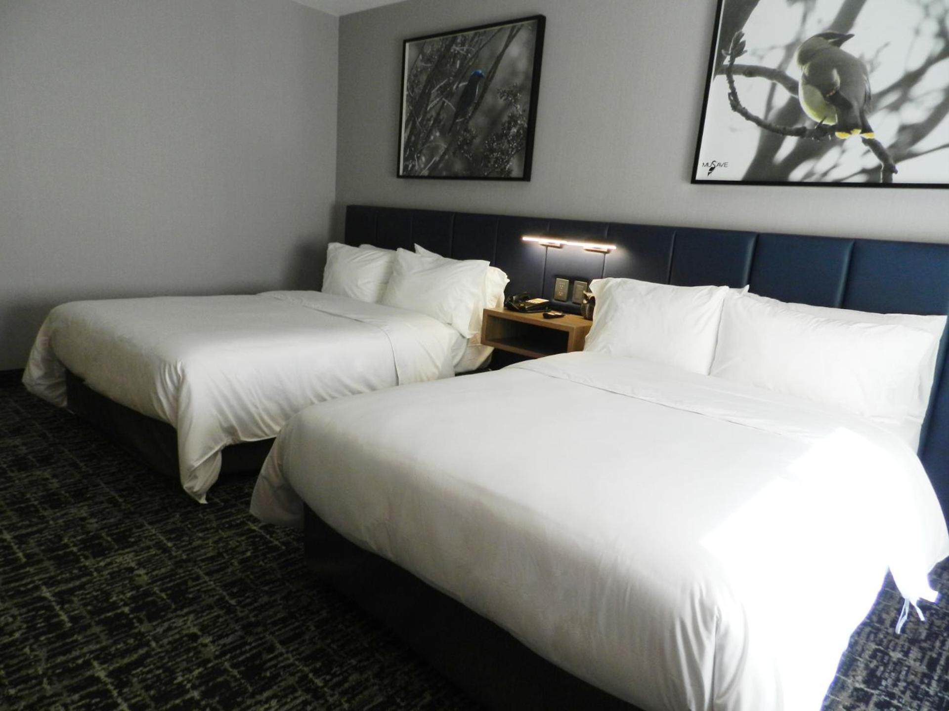 Hotel Cosuites 5*