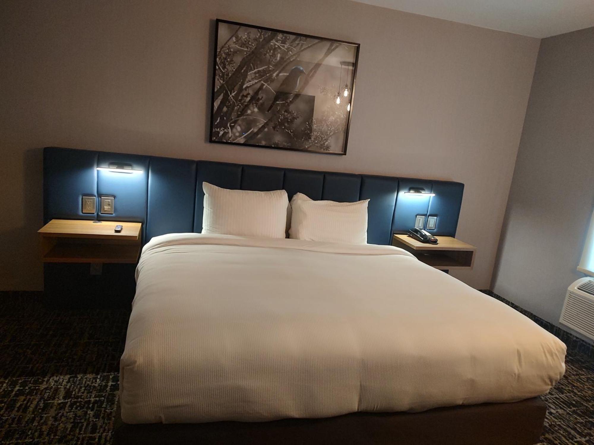Cosuites