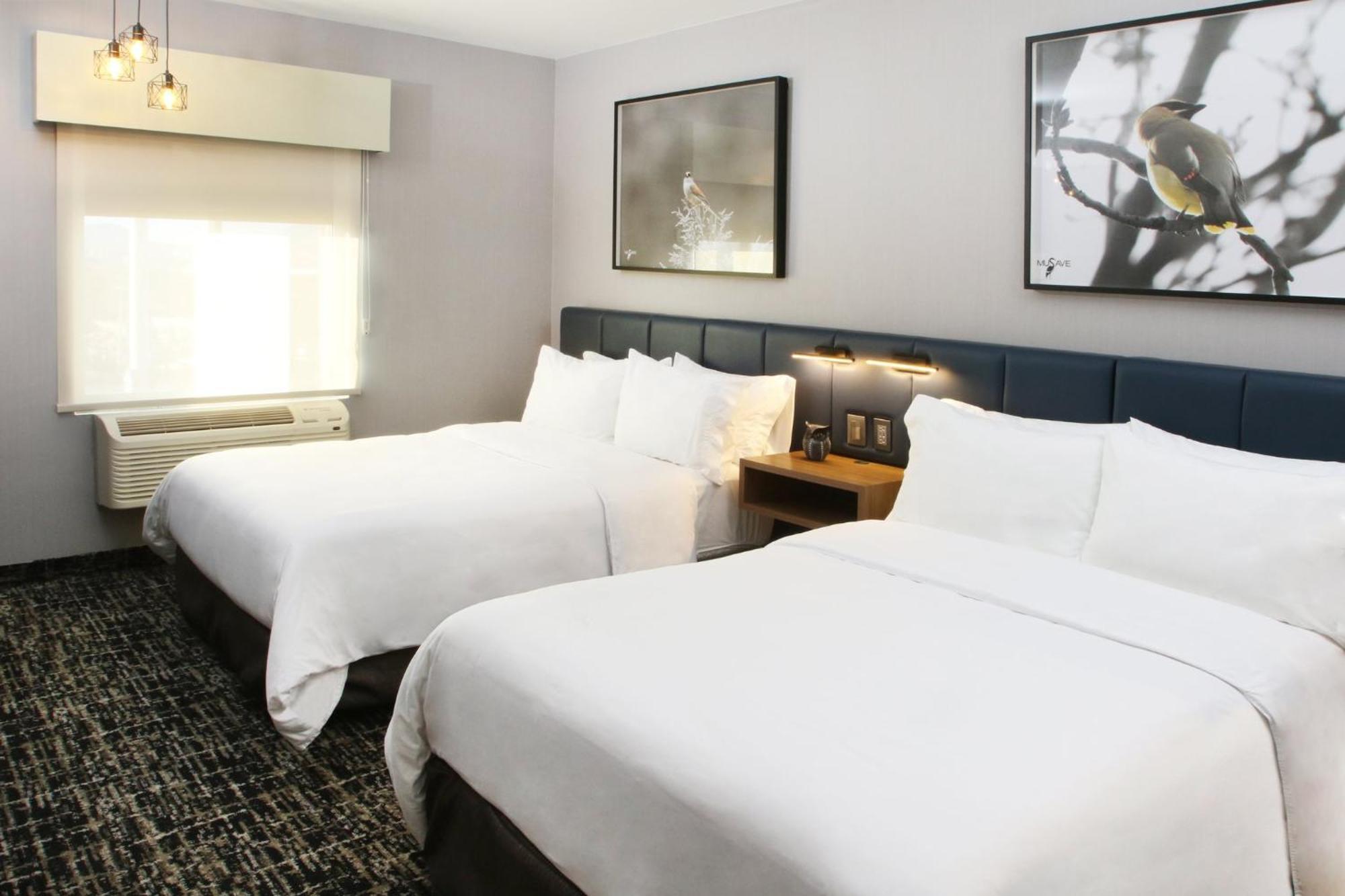 Hotel Cosuites